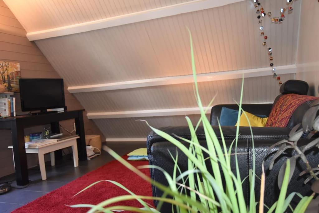 Le Strelitzia 1 Apartment Cilaos Bagian luar foto